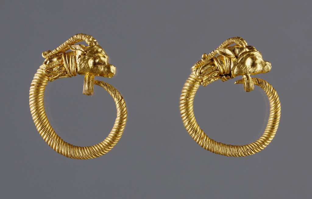 Hoop Earrings